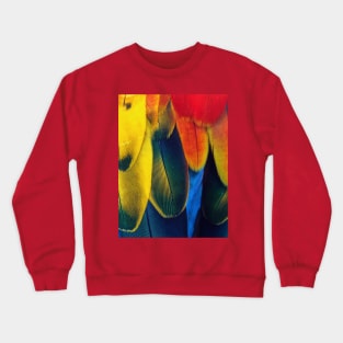 Tropical Colorful Feather Pattern Crewneck Sweatshirt